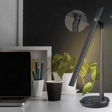 Load image into Gallery viewer, DM 10000mAh Dual Light Wireless LED Table Lamp
